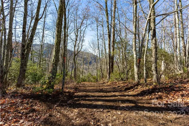 $69,500 | Lot 81 Shangri Lane, Unit 81, Cherokee, NC 28719