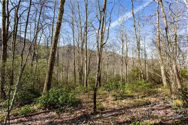 $69,500 | Lot 81 Shangri Lane, Unit 81, Cherokee, NC 28719
