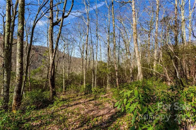 $69,500 | Lot 81 Shangri Lane, Unit 81, Cherokee, NC 28719