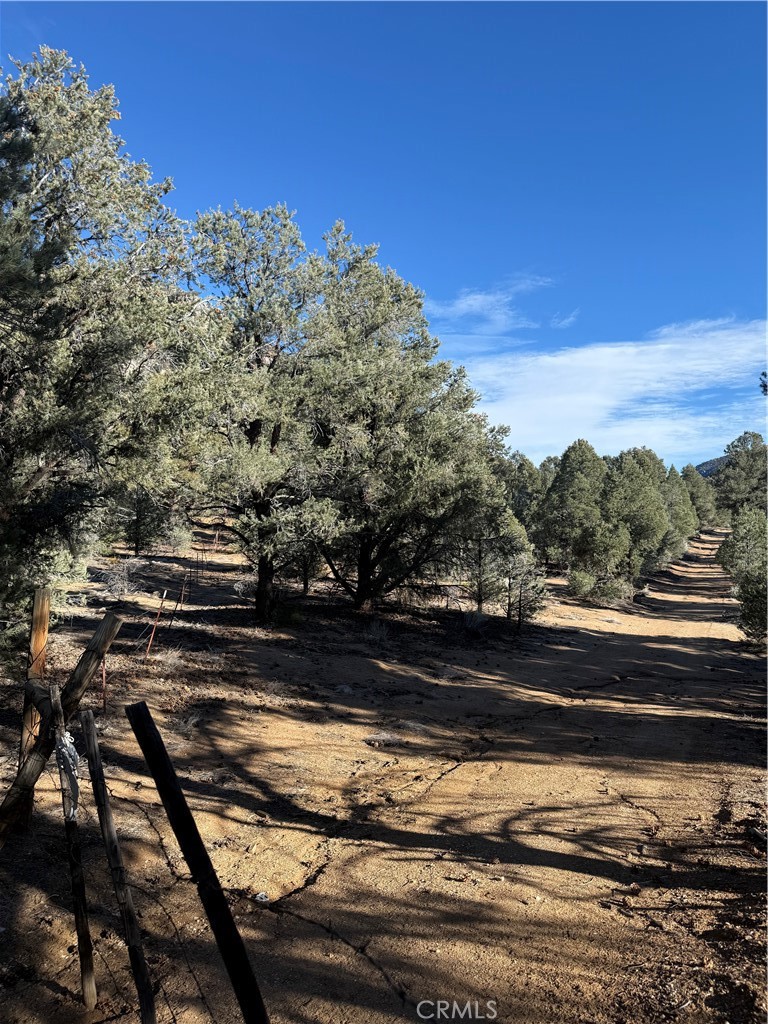 0 310-190-028 Sacatar Ranch Road Inyokern, CA 93527 - Photo 10 of 10 Gallery Image 10