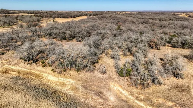 a view of a dry yard with trees