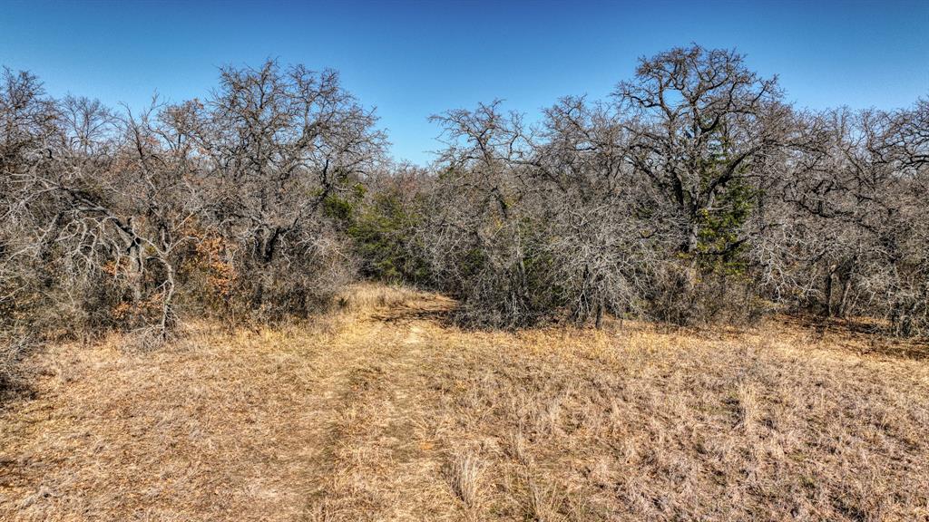 2 Farm To Market 2048 Boyd, TX 76023 - Photo 6 of 18