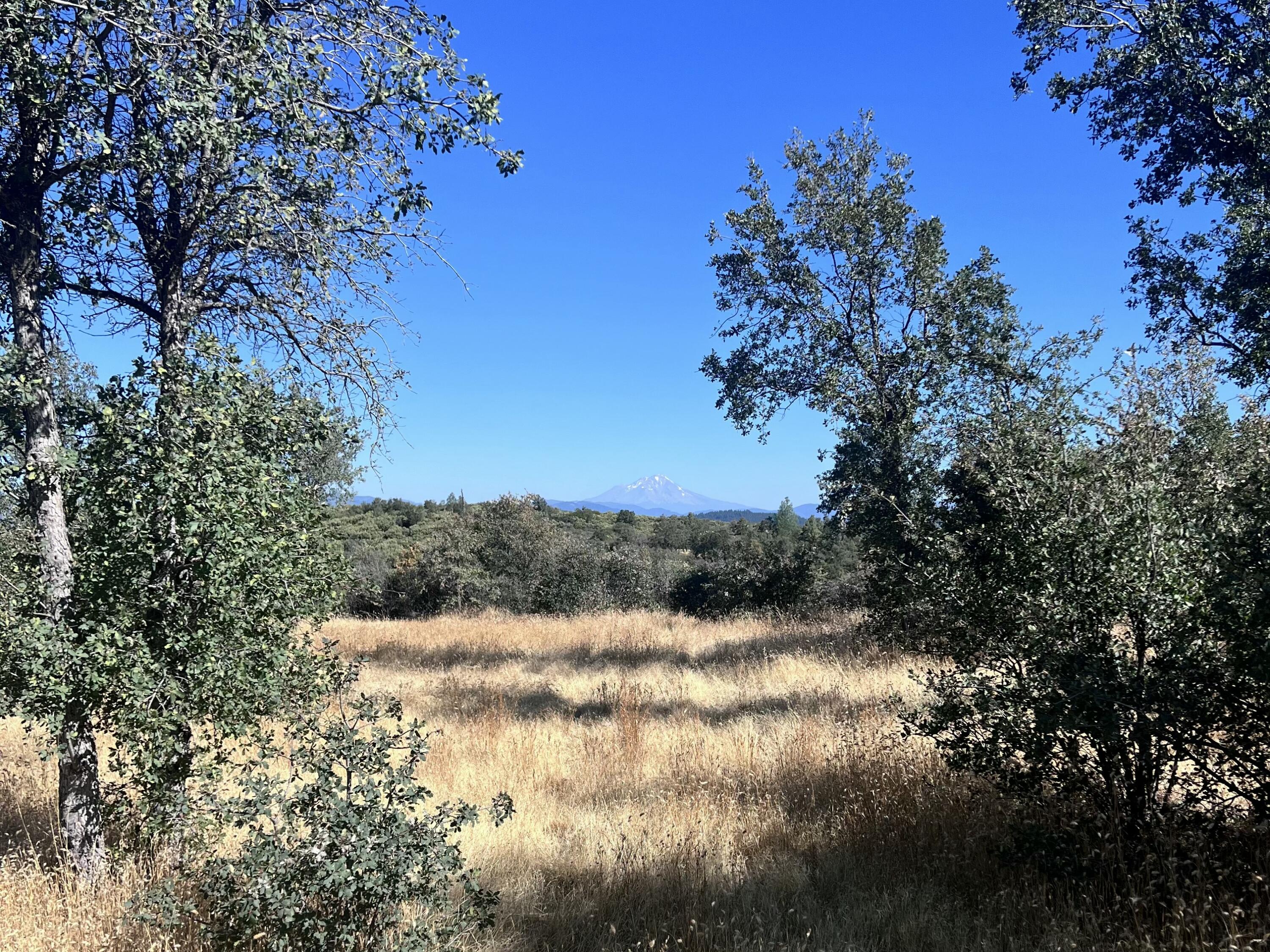 0 Terry Mill Road Round Mountain, CA 96084 - Photo 3 of 16 IMG_0274