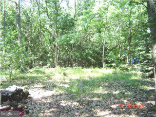 1410 Stokes Road Medford, NJ 08055 - Photo 6 of 6