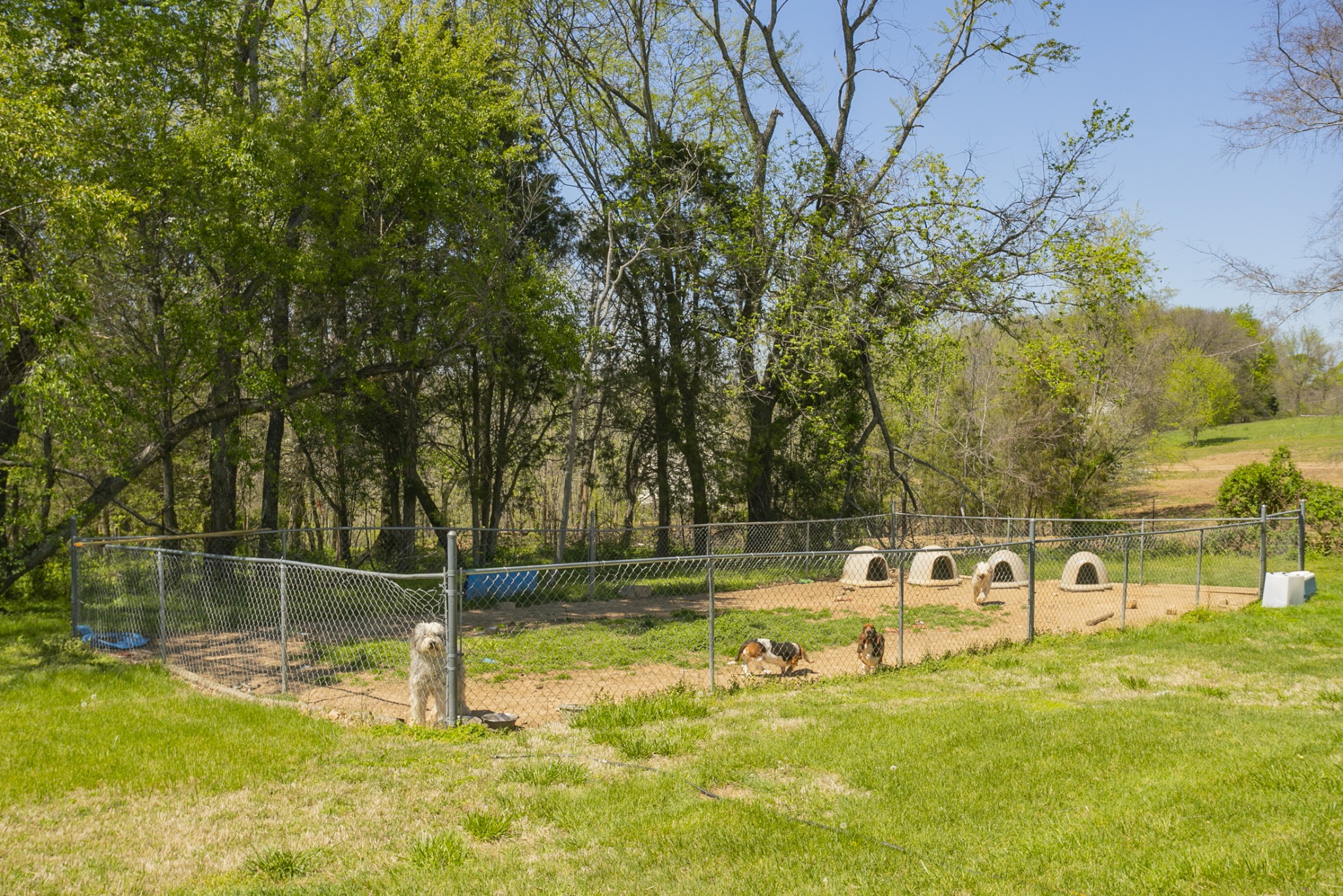 3354 Lipscomb Cemetery Road Springfield, TN 37172 - Photo 41 of 46 a view of a yard with swimming pool
