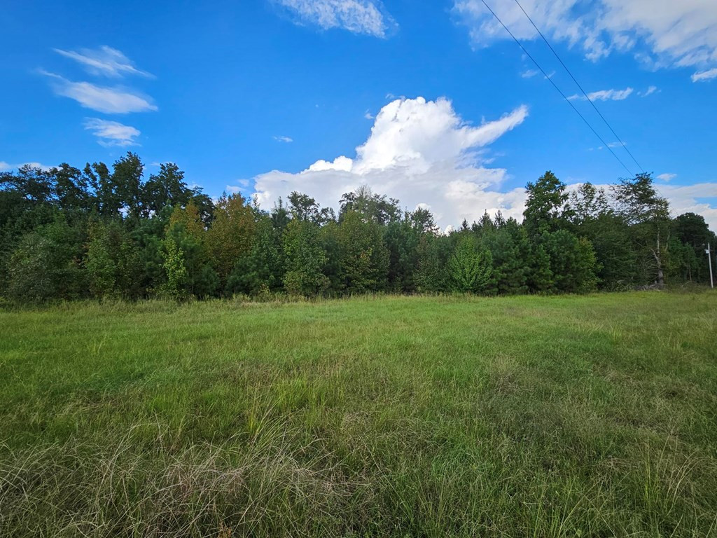 6193 Bloomville Road Manning, SC 29102 - Photo 3 of 19