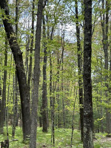 8047 West 10 1/2 Mile Road Irons, MI 49644 - Photo 9 of 10 20250529111959509623000000-o (1)