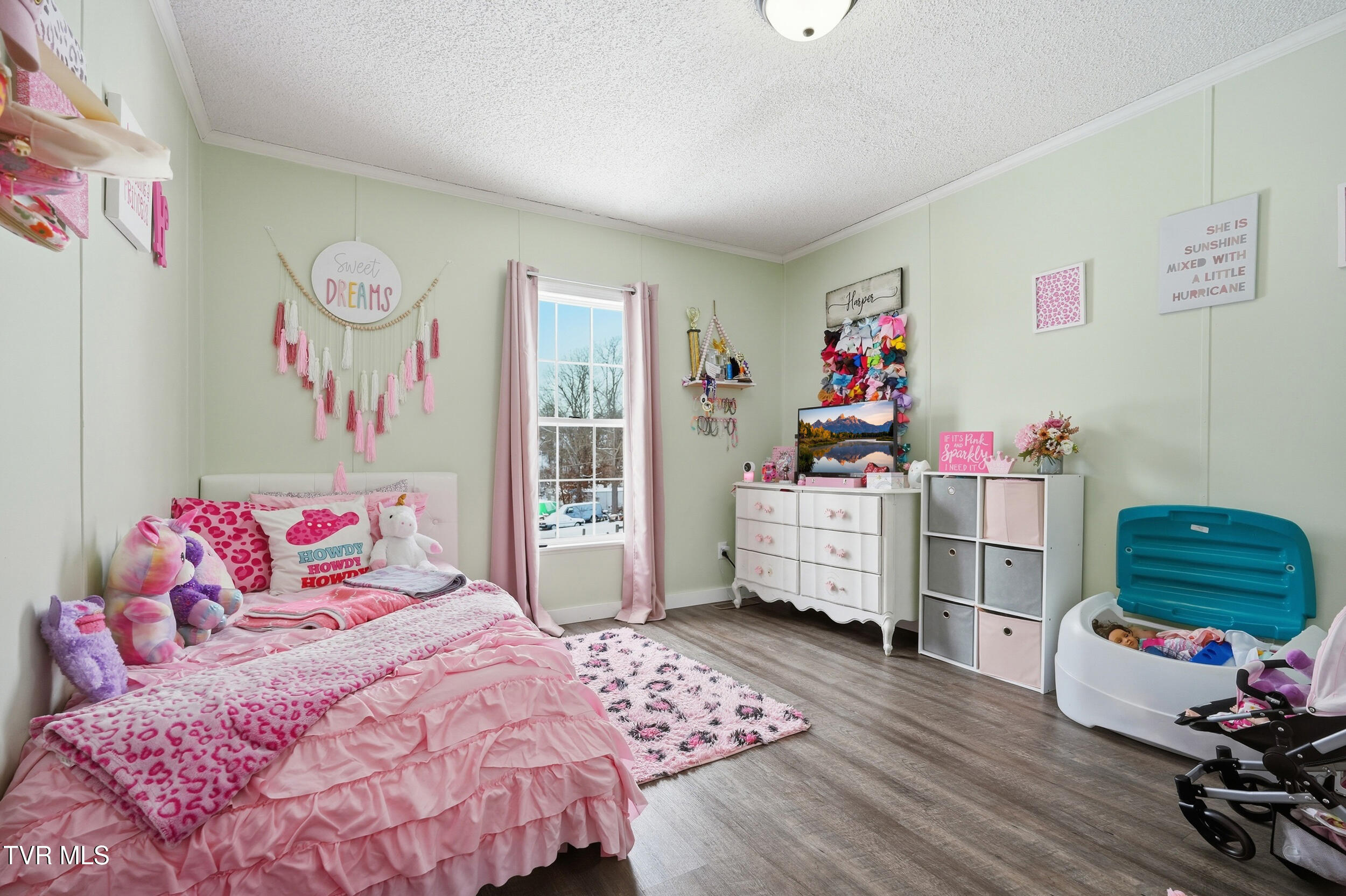 3238 Wil Rho Circle Kingsport, TN 37660 - Photo 21 of 41 27_3238 wil rho cir-33