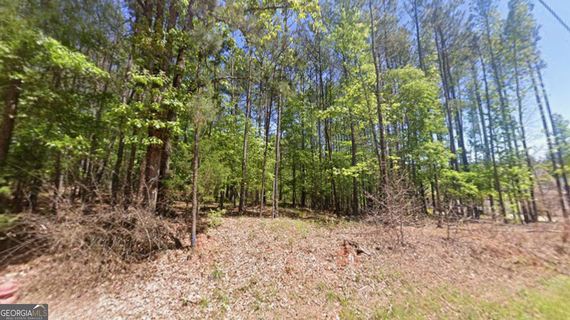 0 Goshen Road Thomaston, GA 30286 - Photo 13 of 18 a view of outdoor space and trees