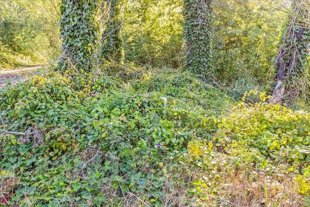 $525,000 | 11035 Empire Grade, Santa Cruz, CA 95060