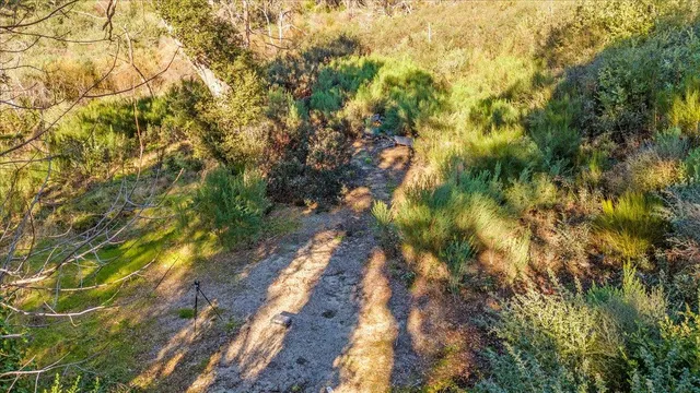 $525,000 | 11035 Empire Grade, Santa Cruz, CA 95060