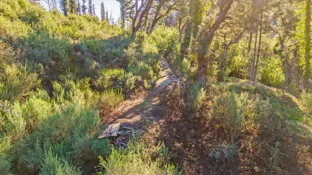 $525,000 | 11035 Empire Grade, Santa Cruz, CA 95060