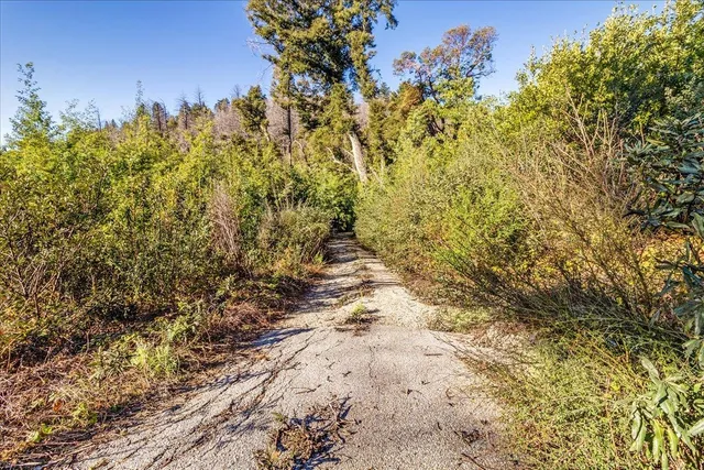 $525,000 | 11035 Empire Grade, Santa Cruz, CA 95060