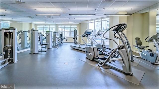11770 Sunrise Valley Drive, Unit 325 Reston, VA 20191 - Photo 69 of 72 Fitness
