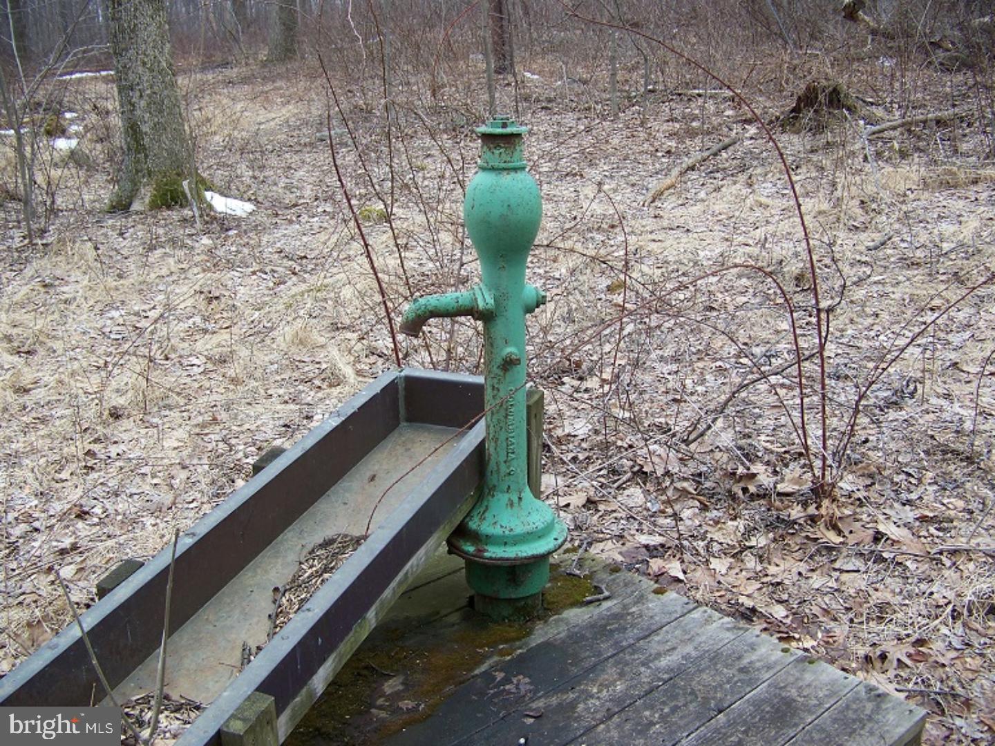0 Bloody Spring Road Bethel, PA 19507 - Photo 2 of 15 Gallery Image 2