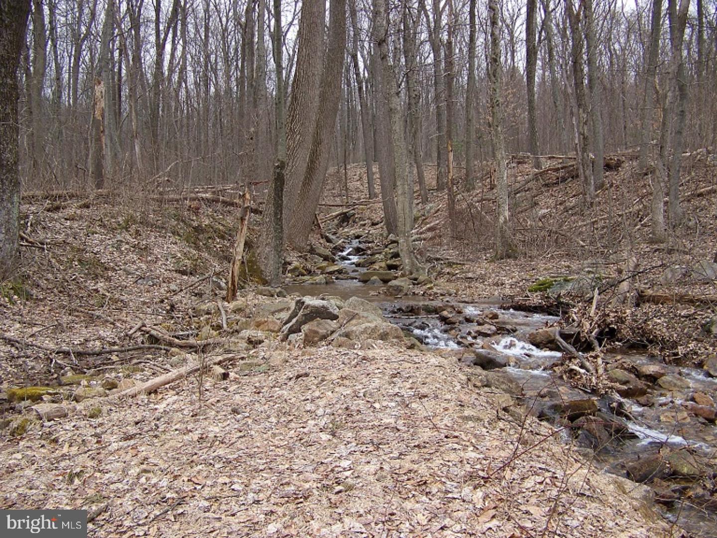 0 Bloody Spring Road Bethel, PA 19507 - Photo 6 of 15 Gallery Image 6