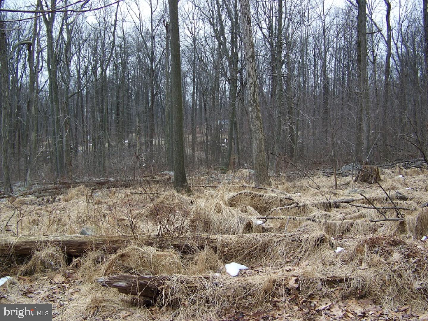 0 Bloody Spring Road Bethel, PA 19507 - Photo 7 of 15 Gallery Image 7