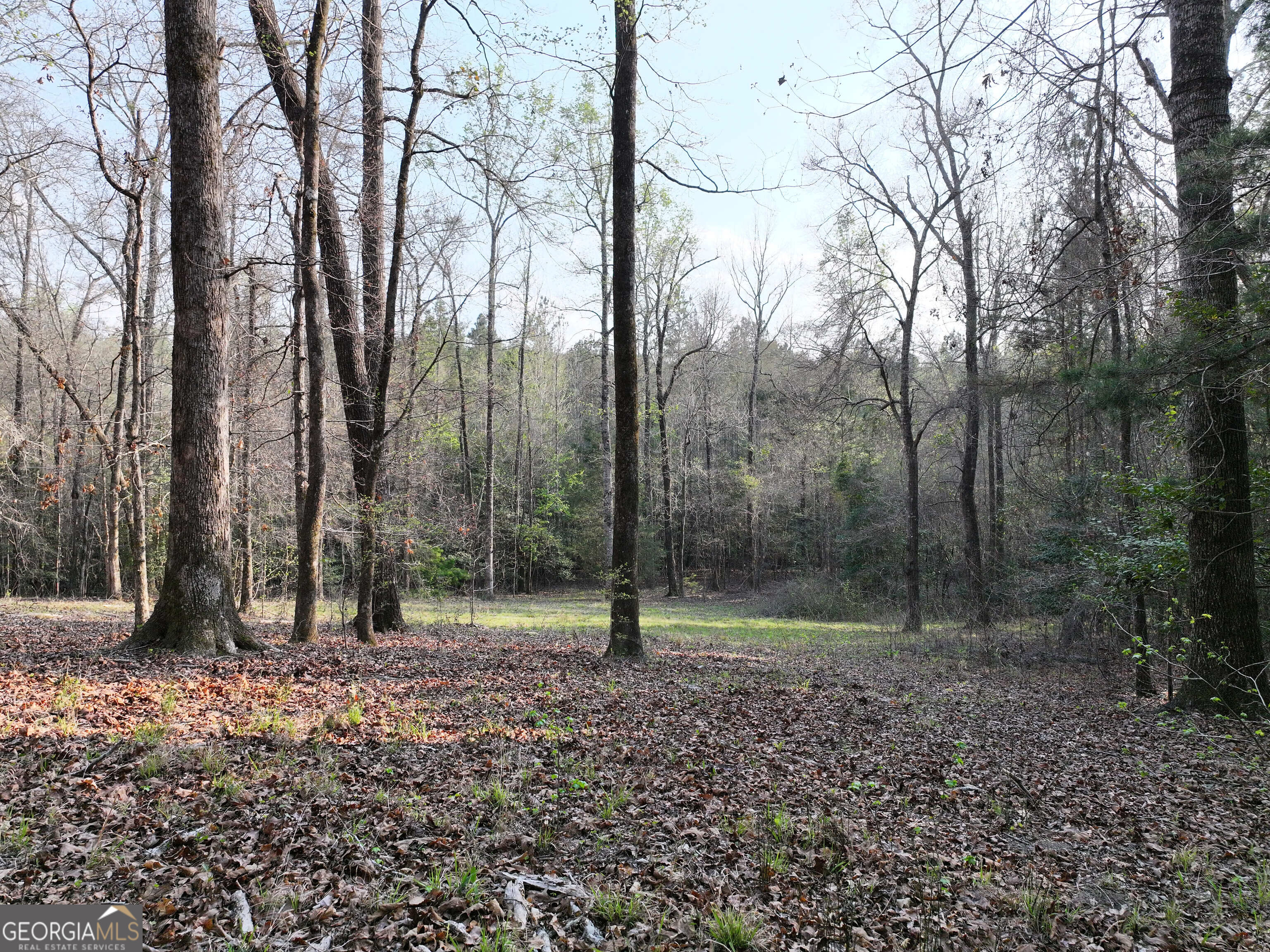 195 County Line Road Morris, GA 39867 - Photo 2 of 69 Gallery Image 2