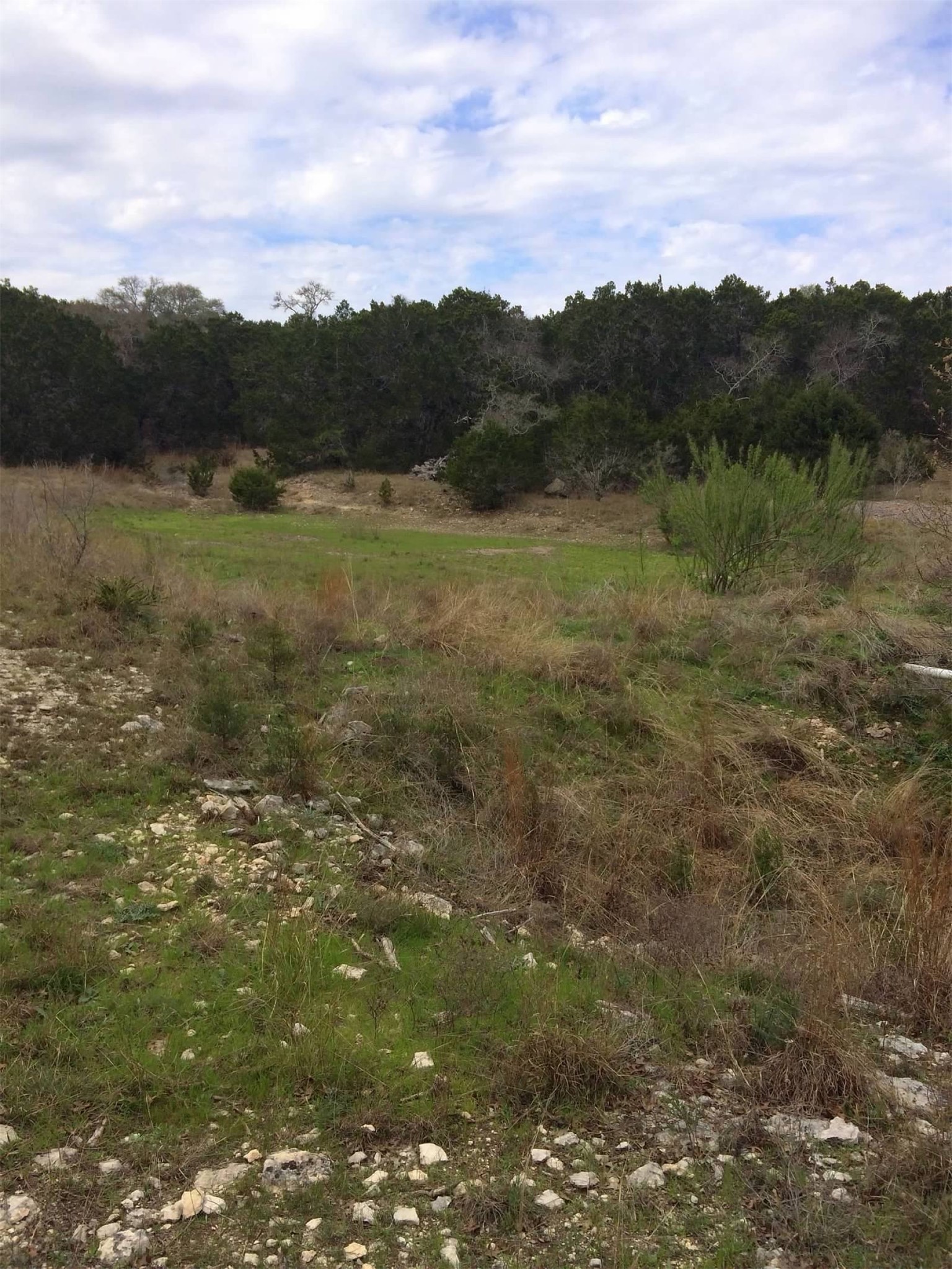 150 Cave Springs Road Wimberley, TX 78676 - Photo 6 of 8 Land