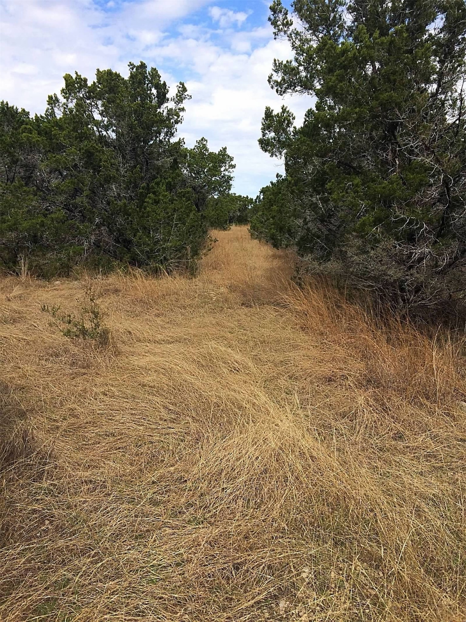 150 Cave Springs Road Wimberley, TX 78676 - Photo 7 of 8 Land