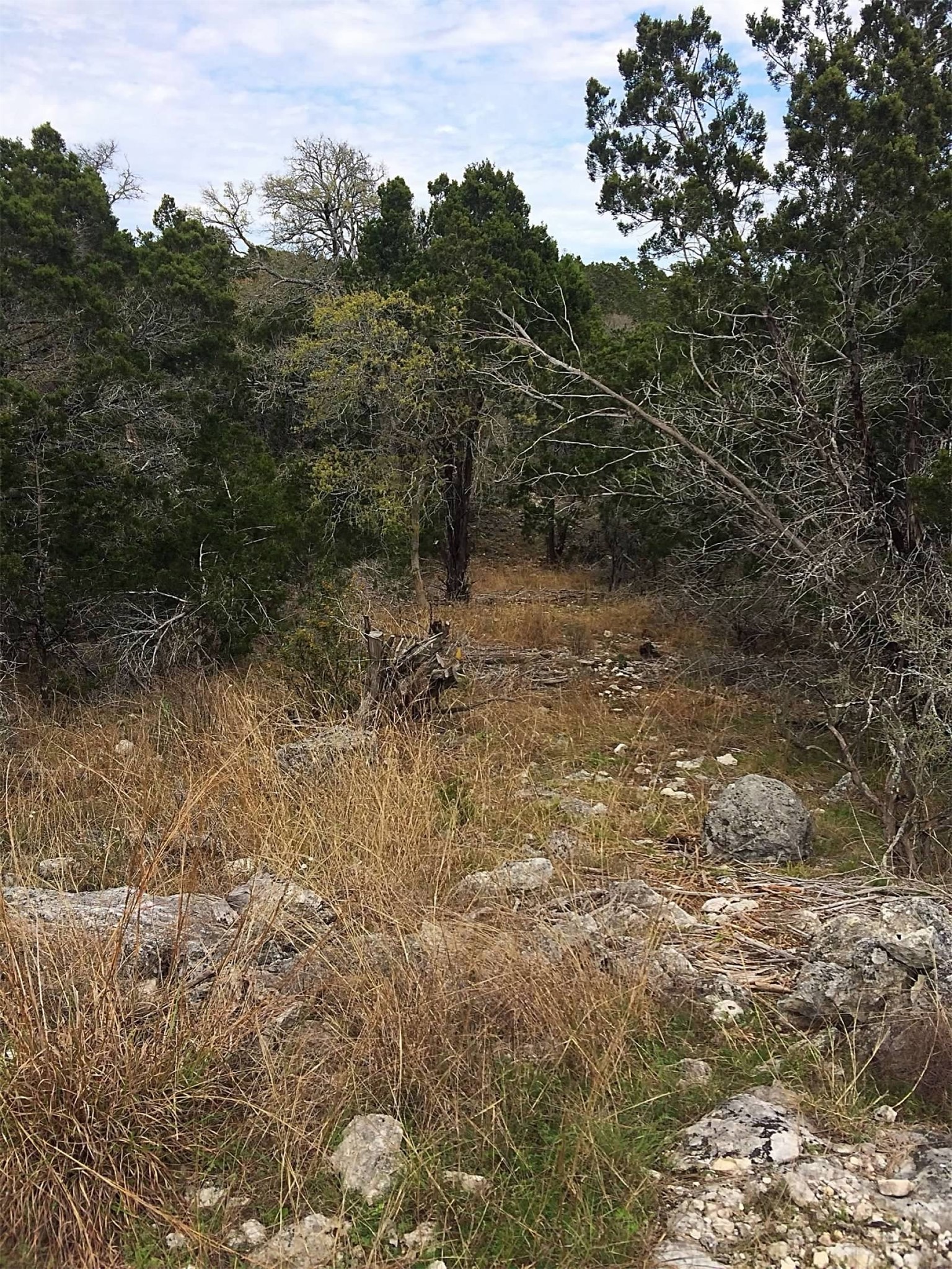 150 Cave Springs Road Wimberley, TX 78676 - Photo 8 of 8 Land