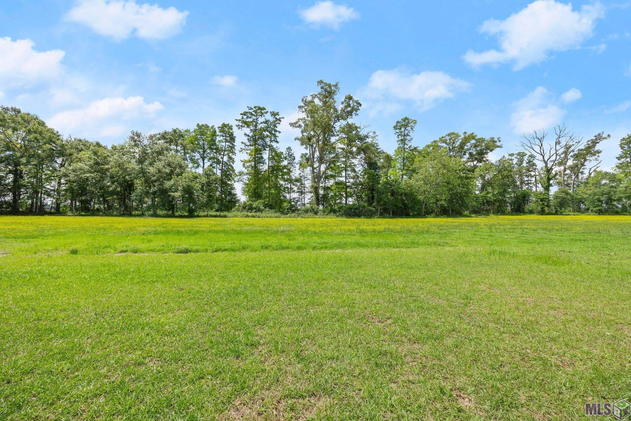 3686 Waterbury Avenue Baton Rouge, LA 70810 - Photo 40 of 42