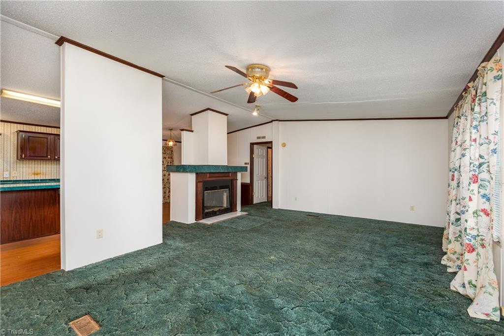 330 Hauser Road Pinnacle, NC 27043 - Photo 4 of 24