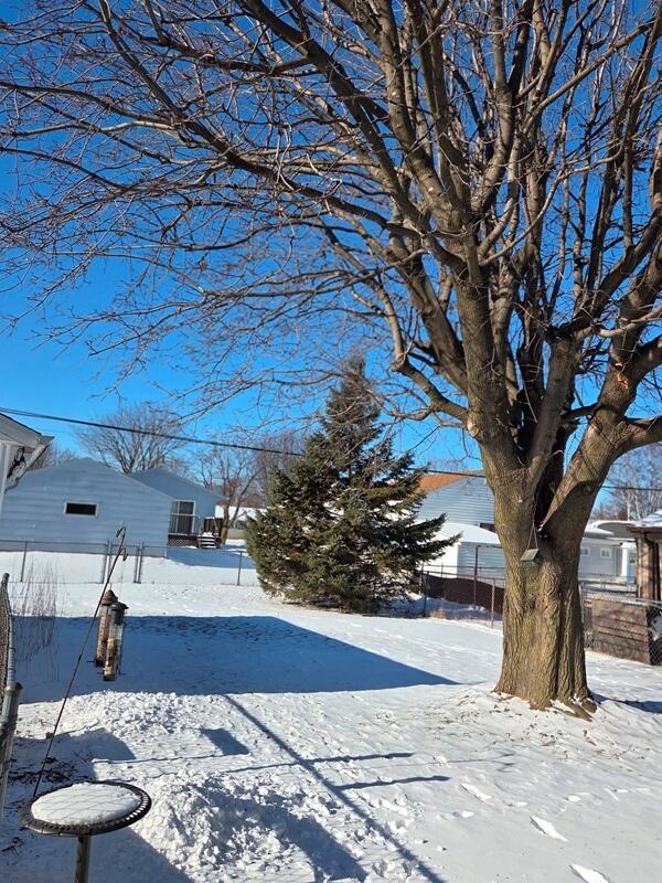 1132 South 35th Street Manitowoc, WI 54220 - Photo 23 of 26 Yard