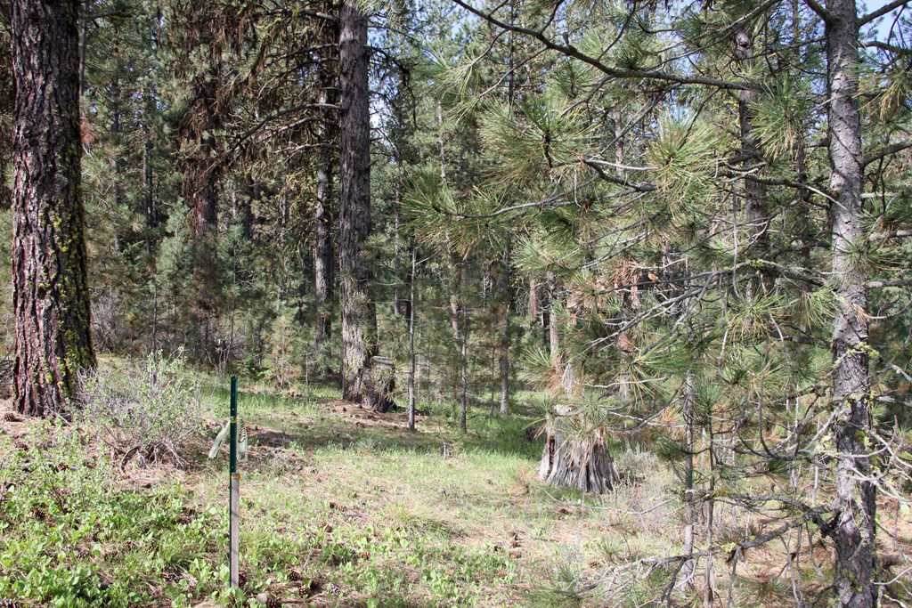 Tbd Hot Springs Road, Unit 6 New Meadows, ID 83654 - Photo 9 of 12