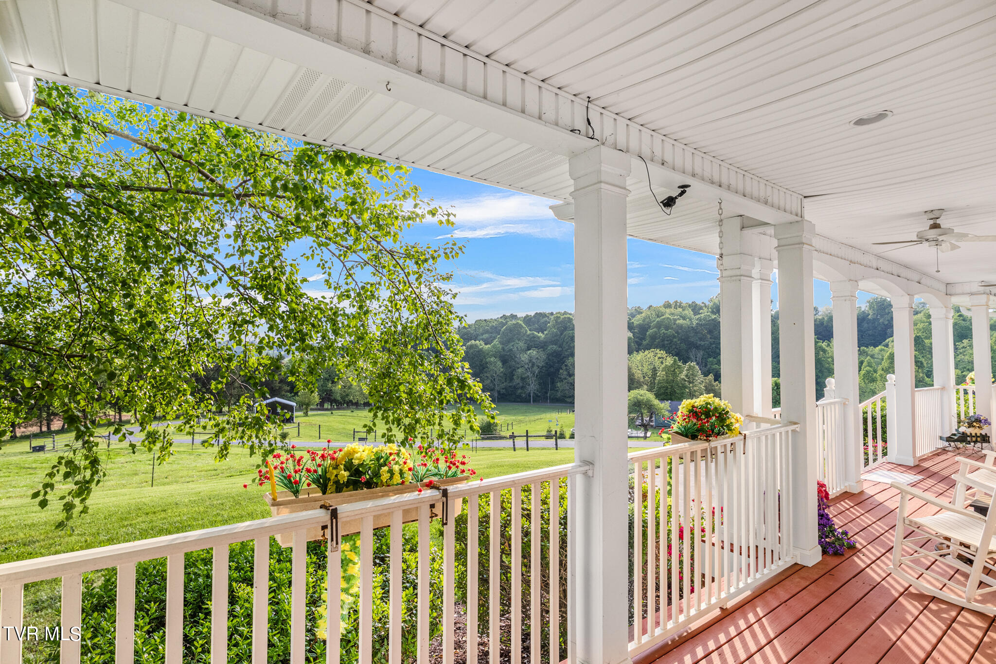 220 Frank Lowe Road Jonesborough, TN 37659 - Photo 8 of 52 IMG_3326