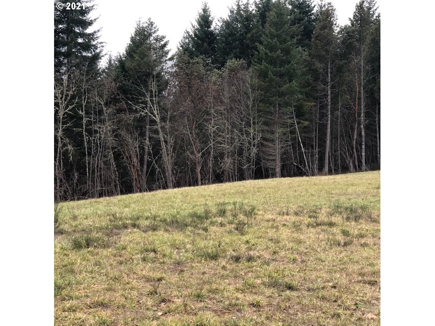 Fleck Road Veneta, OR 97487 - Photo 3 of 6 Gallery Image 3