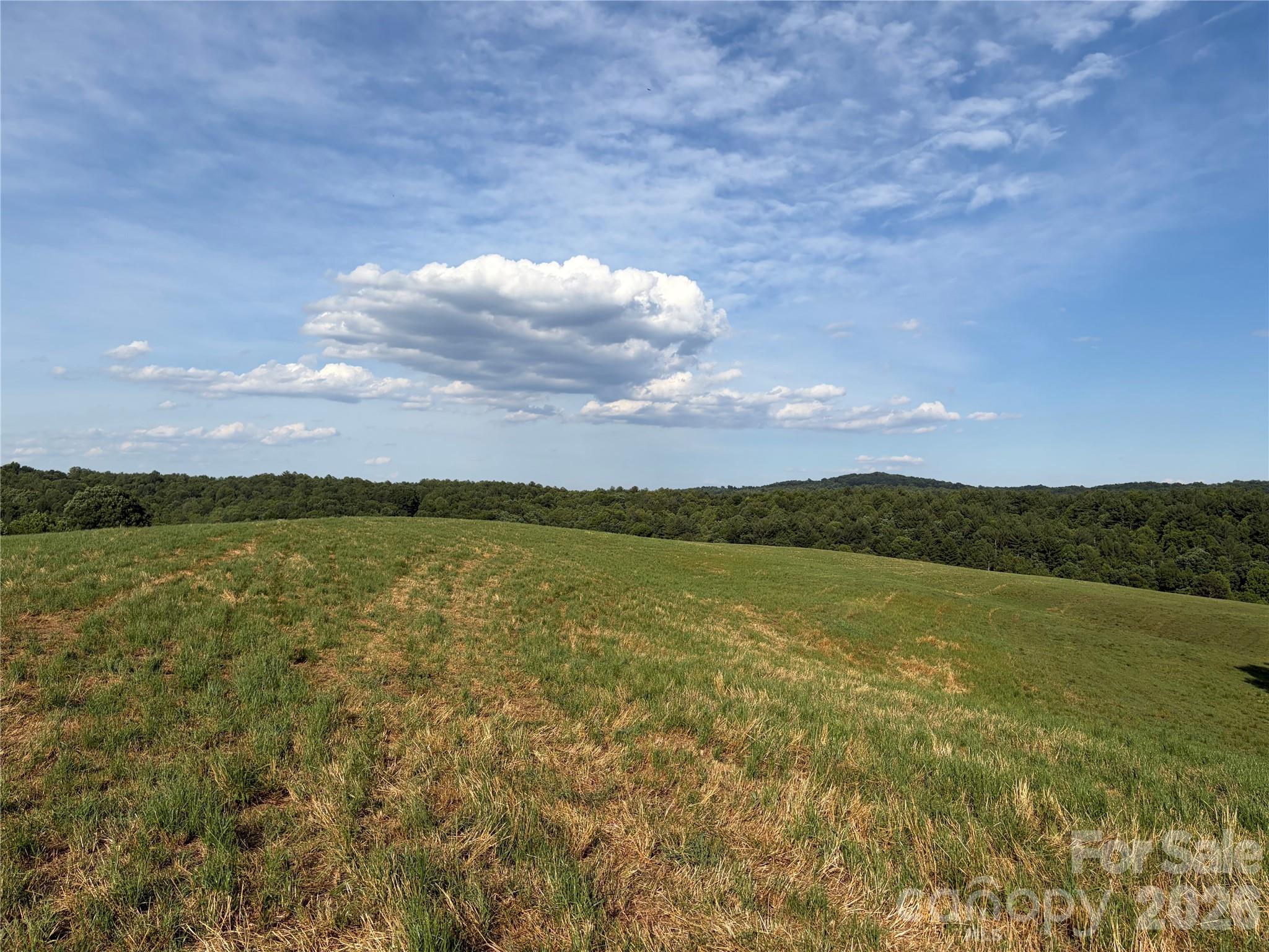 1779 Roundhill Church Road Traphill, NC 28685 - Photo 24 of 41
