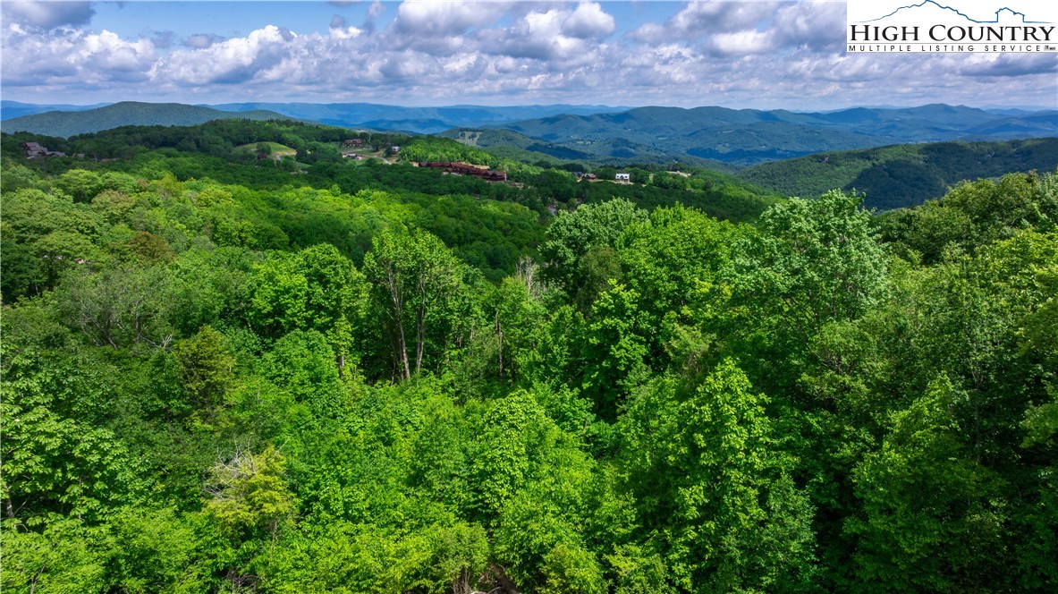 165 Eagle Pass Banner Elk, NC 28604 - Photo 4 of 41 a view of a lush green forest with a mountain in the background