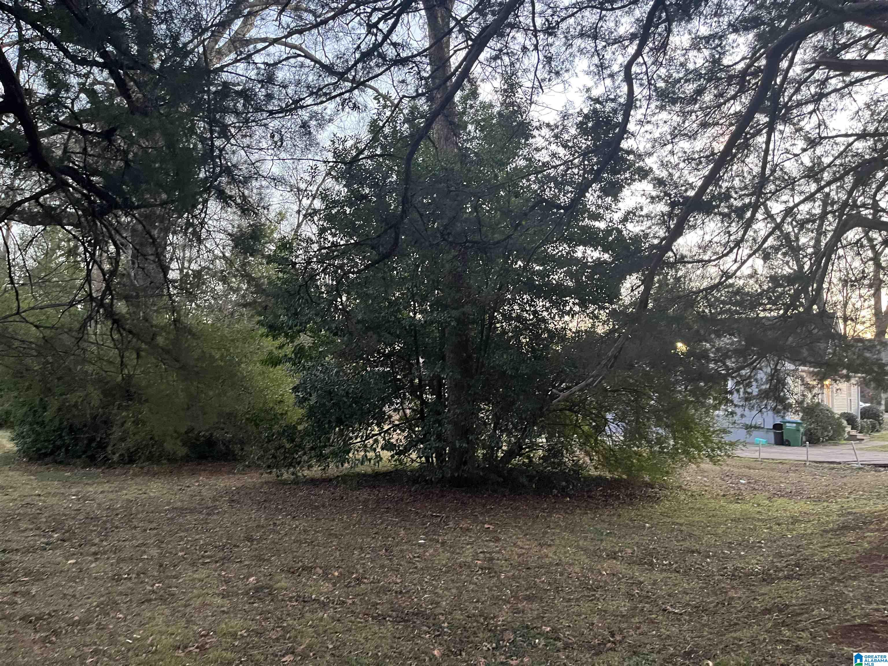 1130 Nabors Street, Unit 2A Montevallo, AL 35115 - Photo 2 of 4