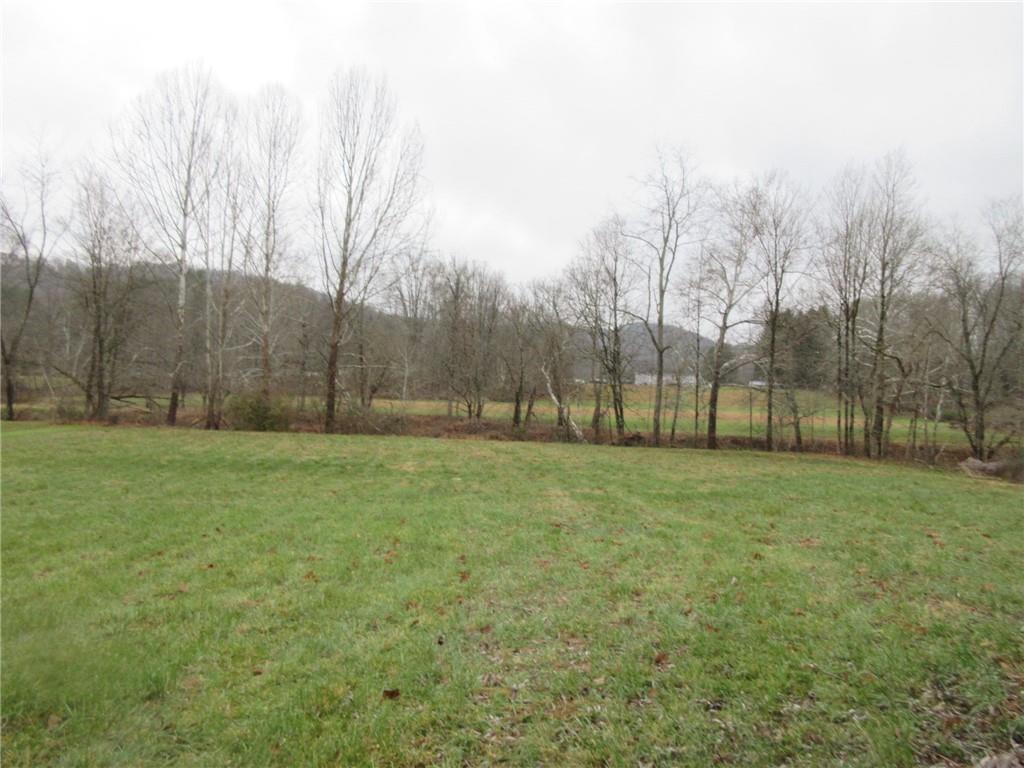 223 Big Shannon Run Road Mount Morris, PA 15349 - Photo 22 of 24