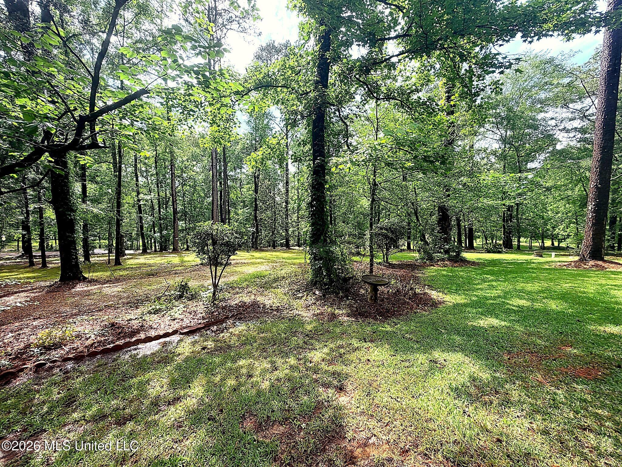 320 Springhill Drive Terry, MS 39170 - Photo 6 of 28 IMG_20260521_232557 (24)_edited