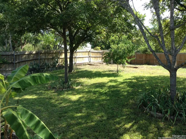 a view of yard with green space and trees all around