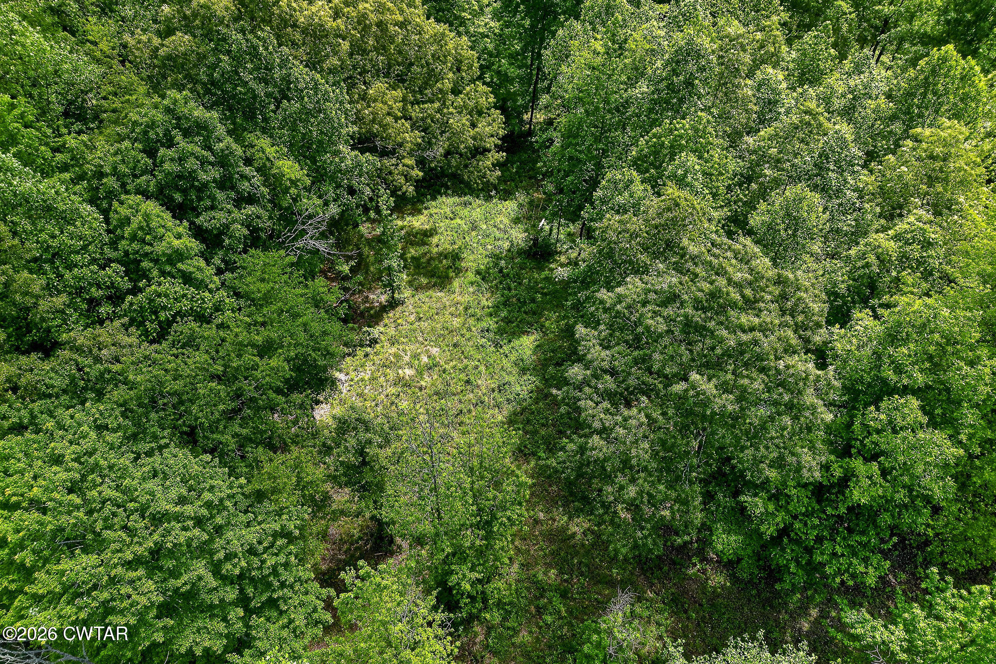 5881 Canoe Way Baxter, TN 38544 - Photo 12 of 19 DJI_20260429002415_0043_D