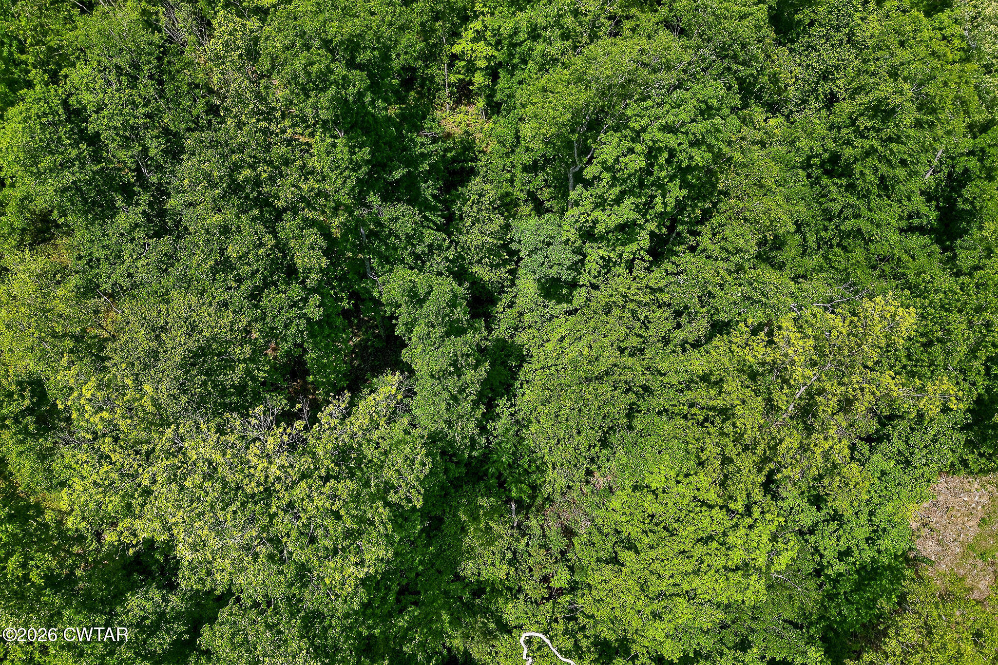 5881 Canoe Way Baxter, TN 38544 - Photo 14 of 19 DJI_20260429002605_0045_D