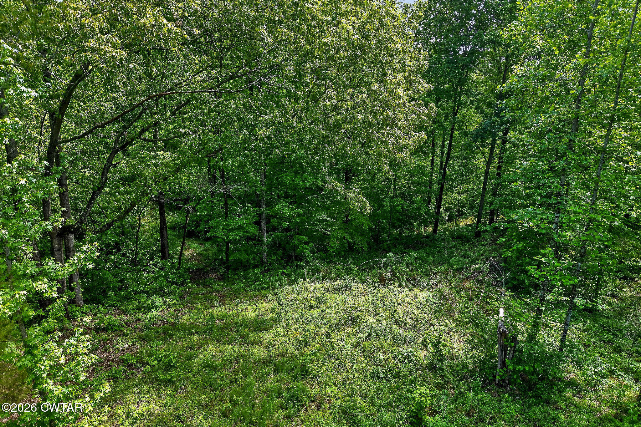 5881 Canoe Way Baxter, TN 38544 - Photo 15 of 19 DJI_20260429002658_0046_D