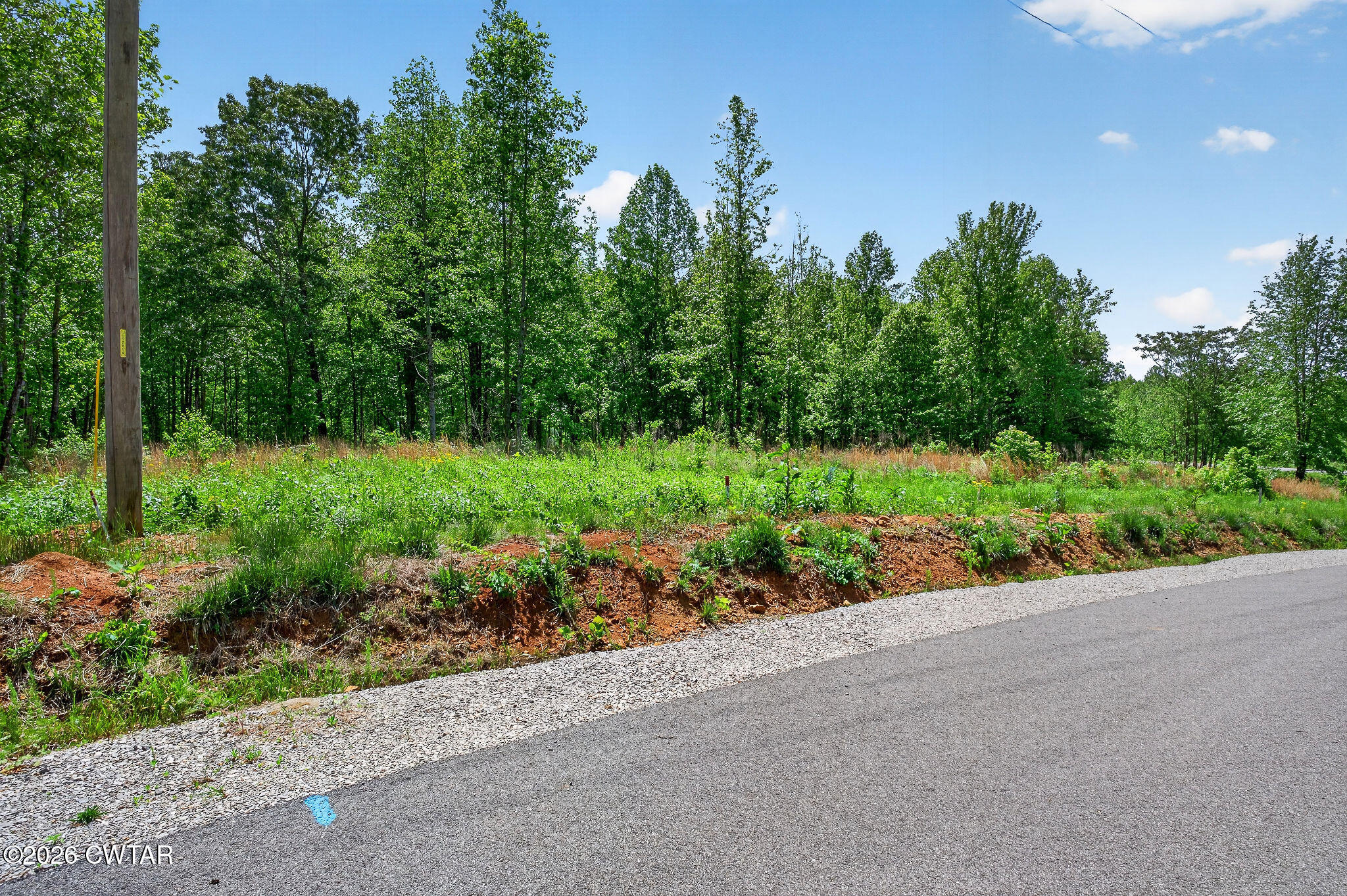 5881 Canoe Way Baxter, TN 38544 - Photo 18 of 19 DSC01315