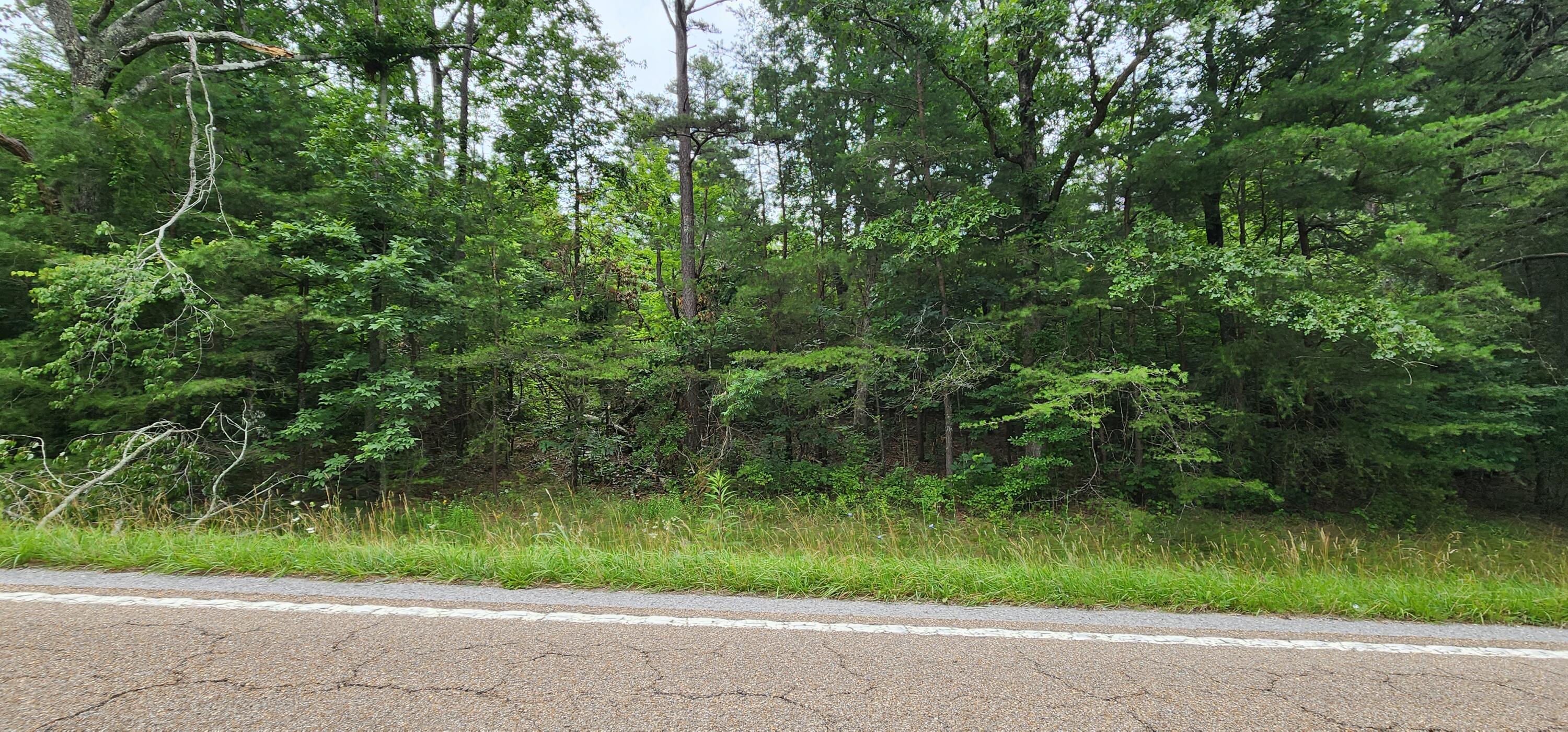 0 Sequatchie Mountain Road Sequatchie, TN 37374 - Photo 3 of 9 1000053942