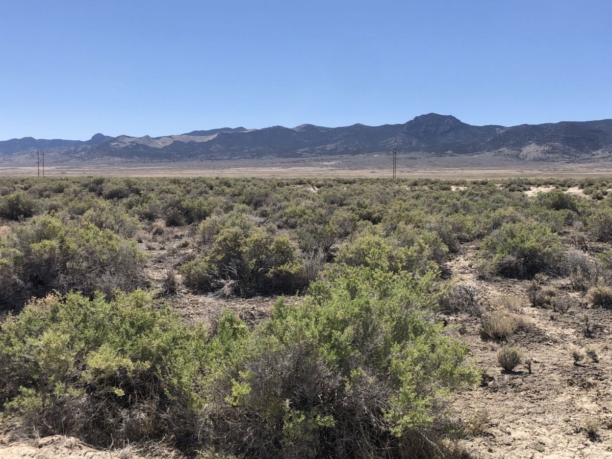 Lot 64 Sun Valley, Unit 64 Spring Creek, NV 89815 - Photo 1 of 4