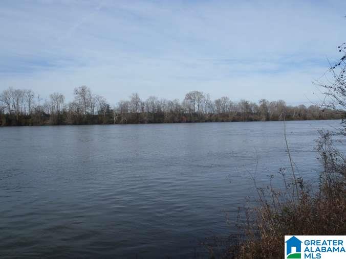 6510 Glovers Ferry Road Alpine, AL 35014 - Photo 3 of 25