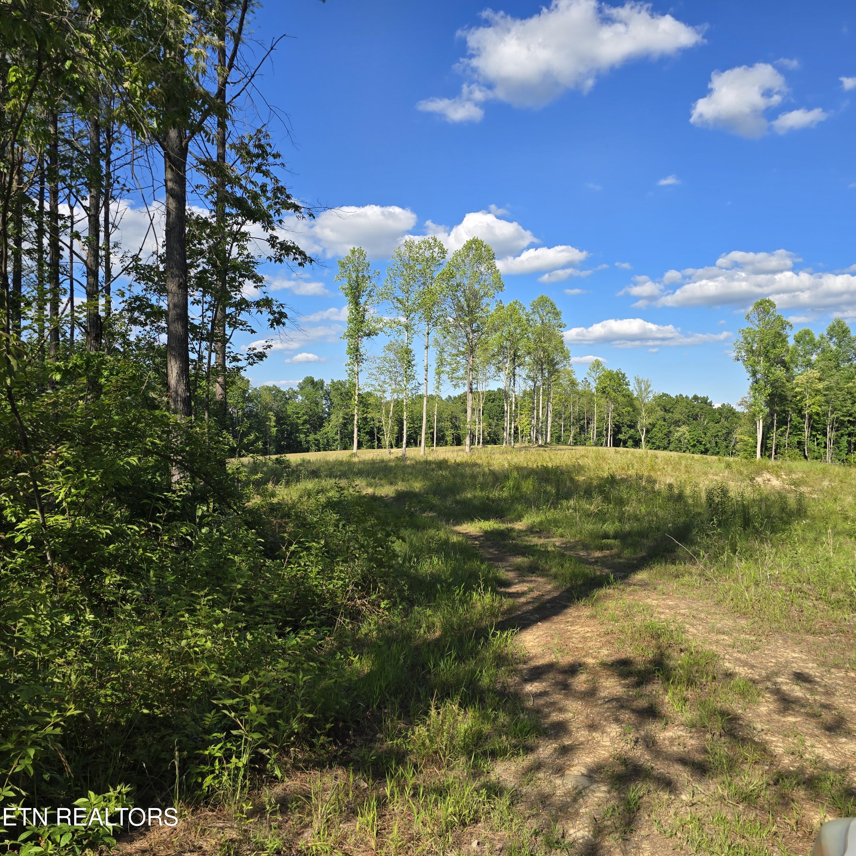 80-ac Red Hill Road Sunbright, TN 37872 - Photo 11 of 16 20260620_180233