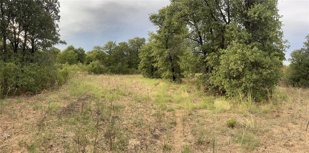 Lot 22 Private Road Hawley, TX 79525 - Photo 20 of 24