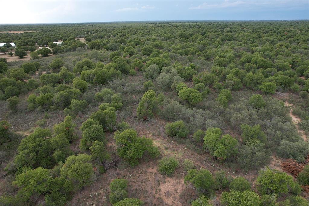 Lot 22 Private Road Hawley, TX 79525 - Photo 8 of 24