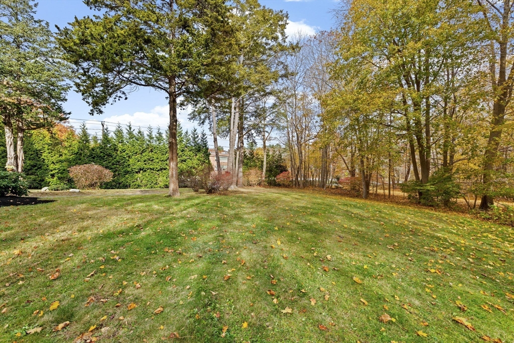 348 Main Street Norwell, MA 02061 - Photo 38 of 42 a view of yard with green space