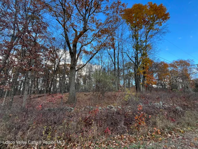 a view of a yard with trees