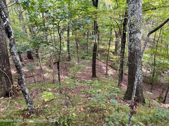 a view of outdoor space and trees